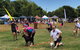 Dogs In The Park Shell Harbour - thumb 1