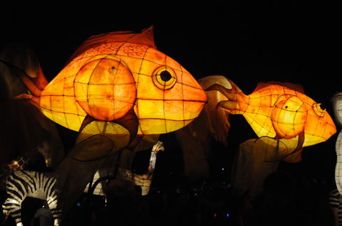 DREAM Festival: Music And Markets Event - New South Wales Tourism  2