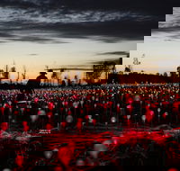Field of Light Uluru - New South Wales Tourism 