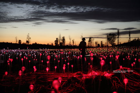 Field Of Light Uluru - New South Wales Tourism  0