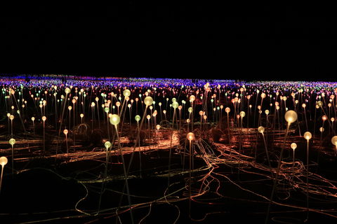 Field Of Light Uluru - New South Wales Tourism  1