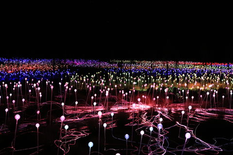Field Of Light Uluru - New South Wales Tourism  2