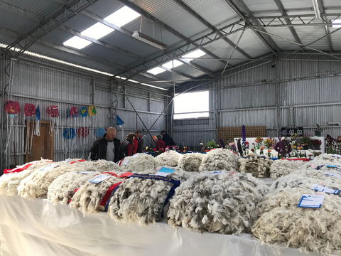 Flinders Island Show - New South Wales Tourism  2