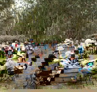 Grazing Down the Lachlan - New South Wales Tourism 