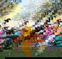 Griffith Spring Fest -  Multicultural Festival - New South Wales Tourism 