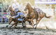Gundagai Rodeo - thumb 0