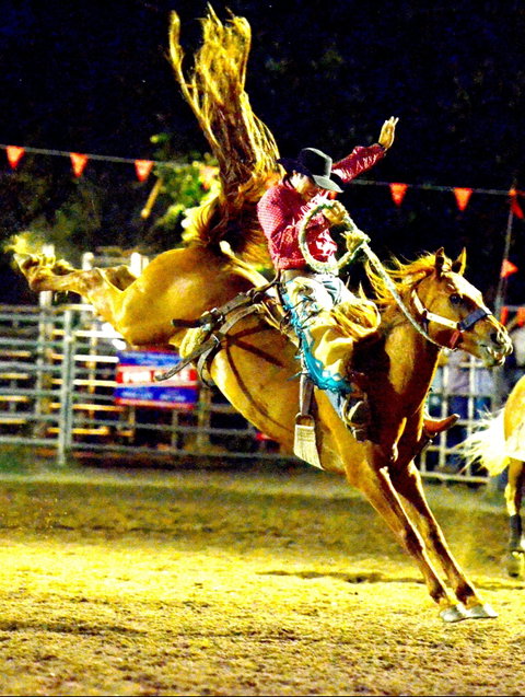 Gundagai Rodeo - New South Wales Tourism  1