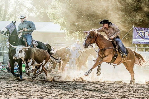 Gundagai Rodeo - New South Wales Tourism  2