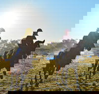 Gunnedah Showjumping Festival - New South Wales Tourism 