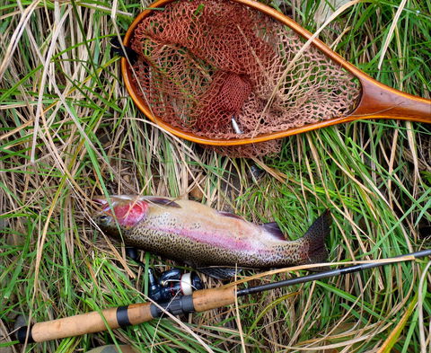 Guyra TroutFest - New South Wales Tourism  0