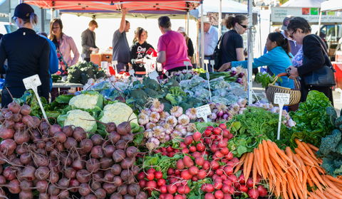 Harvest Launceston Community Farmers' Market - New South Wales Tourism  2