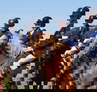 Hay Agricultural Show - New South Wales Tourism 