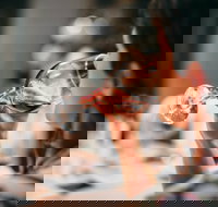 Henty Field Days - New South Wales Tourism 