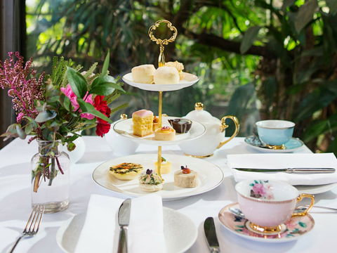 High Tea At Melbourne Zoo - New South Wales Tourism  0