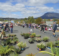 Hobart Showground Sunday Market - Weekly - New South Wales Tourism 