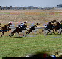 Jerilderie Gold Cup Races - New South Wales Tourism 