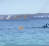 Jervis Bay's Sydney to Hobart Experience - New South Wales Tourism 