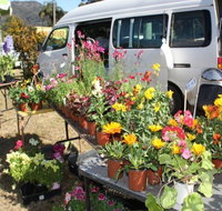 Johns River Country Markets - New South Wales Tourism 