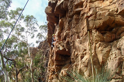 July 2020 Holidays- Explore & Climb - New South Wales Tourism  0
