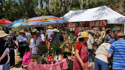 Karragarra Sea Market Festival - New South Wales Tourism  0