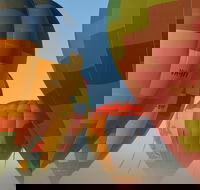 King Valley Balloon Festival - New South Wales Tourism 