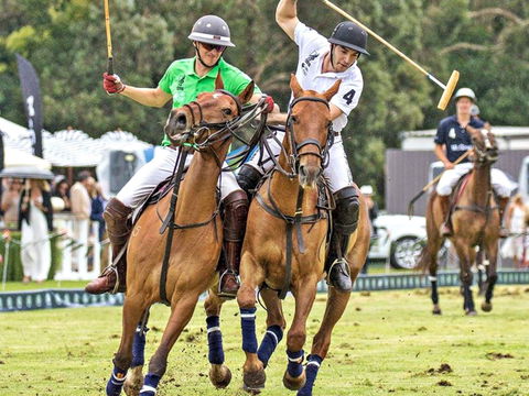 Land Rover Polo In The City - New South Wales Tourism  0