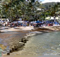 Lions Airlie Beach Community Markets - New South Wales Tourism 