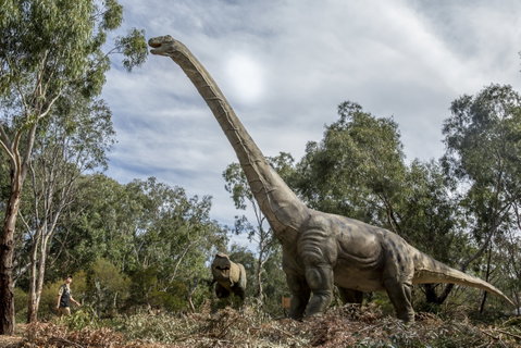 Lost Sanctuary At Healesville Sanctuary - New South Wales Tourism  0