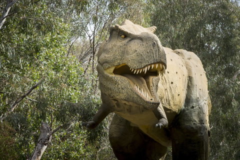 Lost Sanctuary At Healesville Sanctuary - New South Wales Tourism  2