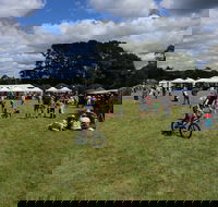 Majors Creek Festival - New South Wales Tourism 