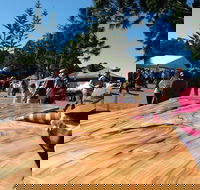 Maleny Wood Expo From Seed to Fine Furniture - New South Wales Tourism 