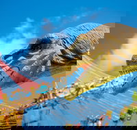 Mega Creatures at Hunter Valley Gardens - Postponed - New South Wales Tourism 