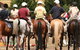 Michelago Pony Club Gymkhana And Sporting Spectacular - thumb 0