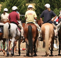 Michelago Pony Club Gymkhana and Sporting Spectacular - New South Wales Tourism 