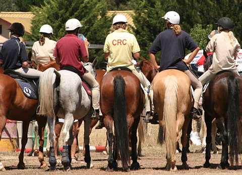 Michelago Pony Club Gymkhana And Sporting Spectacular - New South Wales Tourism  0