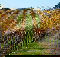 Miners Ridge Wine Tasting - New South Wales Tourism 
