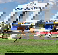 Moree Race Club TAB Race Day - New South Wales Tourism 