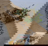 Moulamein Cup Race Meet - New South Wales Tourism 