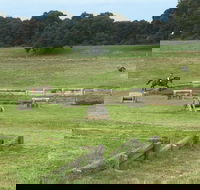 Mount Gambier and District Pony Club Horse Trials 2020 - New South Wales Tourism 