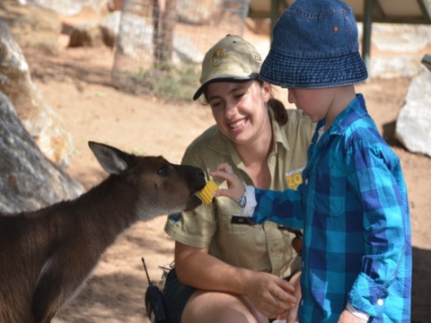 Mums And Cubs! And Dads Too! - New South Wales Tourism  0