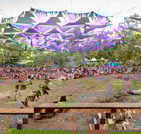 Mushroom Valley Festival - New South Wales Tourism 