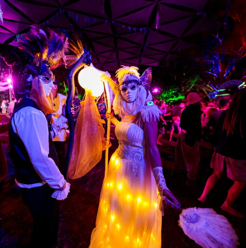 Mushroom Valley Festival - New South Wales Tourism  1