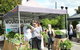 Nan Tien Health And Wellbeing Market - thumb 0