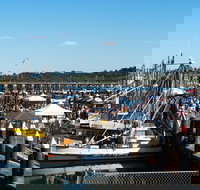 Ocean Harvest Festival - New South Wales Tourism 