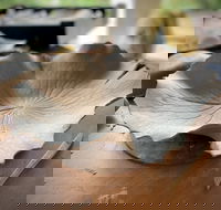 Online live streaming class DIY Clay Hand Building for Beginners - New South Wales Tourism 
