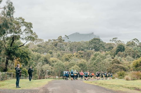 Peaks And Trails Run - New South Wales Tourism  1