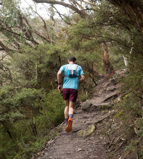 Peaks And Trails Run - New South Wales Tourism  2