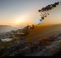 Photowalk with Jon Harris Photography - Nature Photography - New South Wales Tourism 