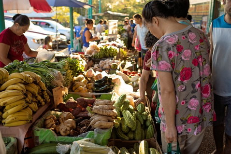 Rapid Creek Markets - New South Wales Tourism  1