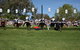 Sakura Matsuri  - Cherry Blossom Festival - In Doubt Due To Covid-19 - thumb 0